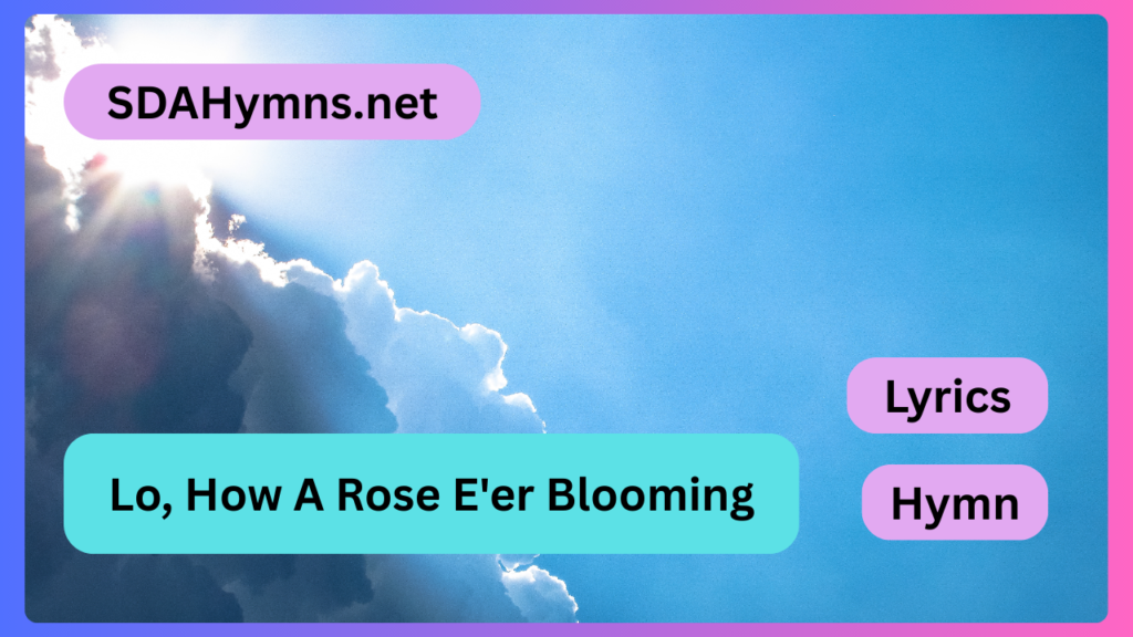 Lo, How A Rose E'er Blooming