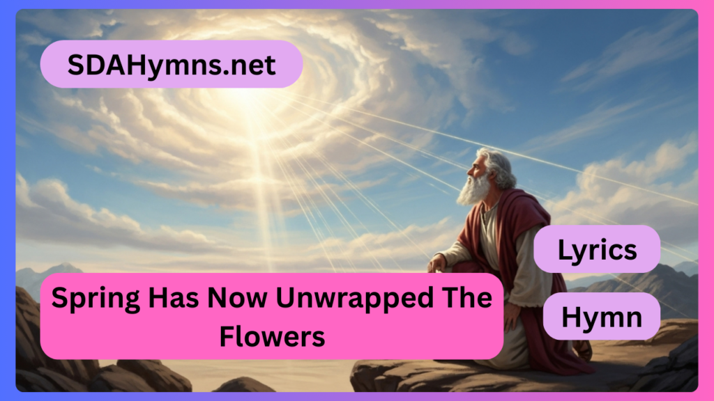 Spring Has Now Unwrapped The Flowers