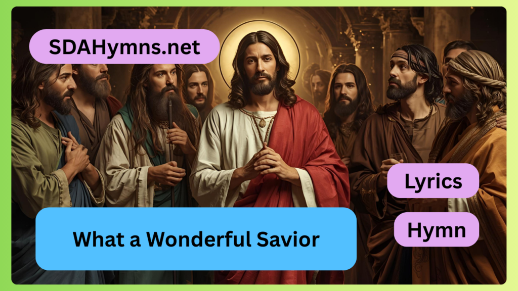 What a Wonderful Savior