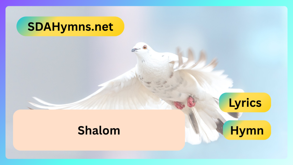 Shalom